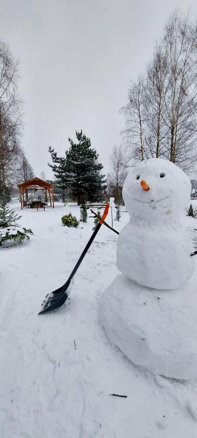 Brivdienu Maja Ar Saunu Feriehus