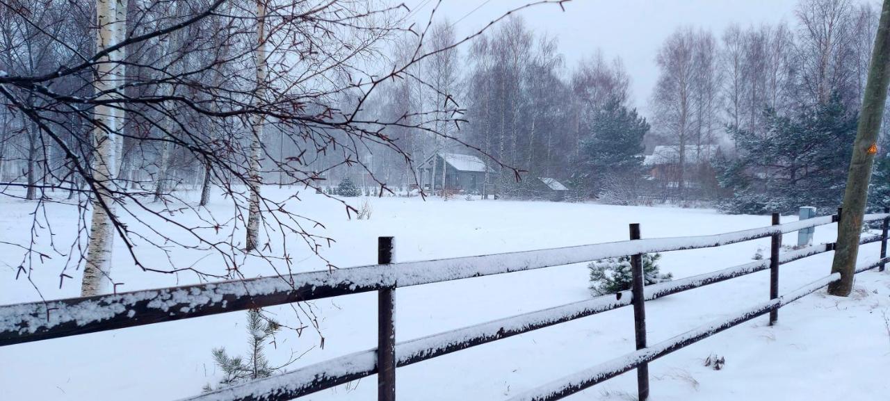 Brivdienu Maja Ar Saunu *